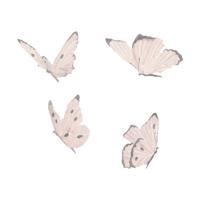 Väggdekoration Butterflies 4-pack White
